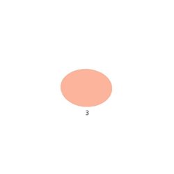 Blush fard trucco
